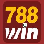 788Wi Game